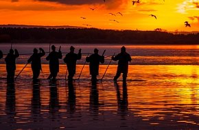 Výlov rybníka Horusický