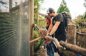 Velikonoce v ZOO Hluboká nad Vltavou