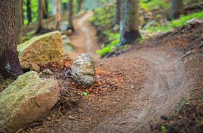 Singltrek Prachatice