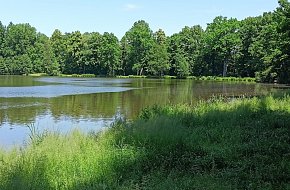 Rybník Bažantník u Nových Hradů