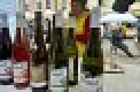 Svatomartinský trh v Třeboni