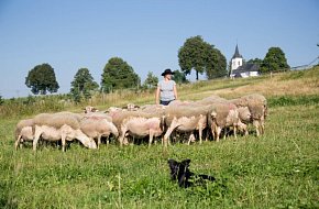 Stellplatz Statek Horní Dvorce