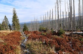 Na vrchol Třístoličníku