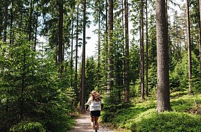 Naučná stezka Lipno: Výhledy, prameny a cesta přes hřeben