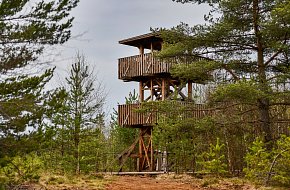 Soumarské rašeliniště