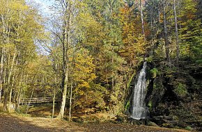 Stezkou Novohradských příhraničních rybníků na Jedlici