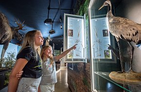 Nejlepší výstava České republiky