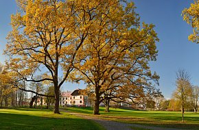 Zámecký park Strkov