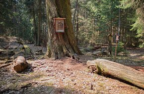 Z Lišova za Janem Žižkou z Trocnova