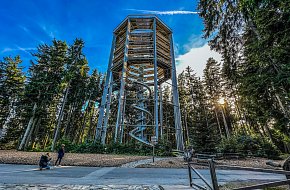 Stezka korunami stromů Lipno