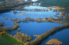 Nadějská rybniční soustava