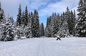 Vyhlídka Nad Prameny Vltavy