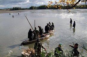 Výlovy rybníků na Písecku i Strakonicku 2025