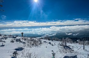 Půldenní výlet na sněžnicích po Šumavě
