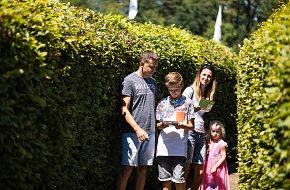 Bloudění v habrovém bludišti - Obludišti