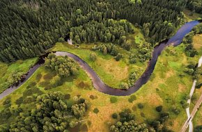 Rašeliniště Mrtvý luh - není veřějnosti přístupný