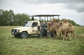 Safari Resort Hluboká u Borovan