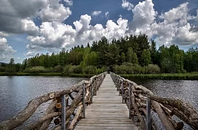 Tréninkovka na Olšině