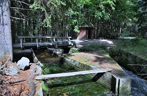 Po Schwarzenberském kanálu zážitkově