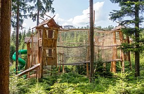 Království lesa Lipno