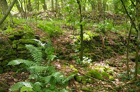 Ven z města Kaňonem Vltavy ke hradu Dívčí Kámen