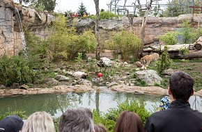 Hluboká nad Vltavou - ZOO Ohrada a zámek