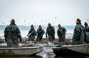 Výlov rybníka Svět