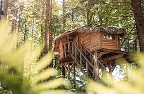 Treehouse Šumava