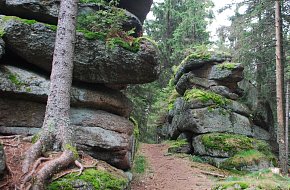 Z pohoří na Šumavě k nejvyšší hoře Novohradských hor