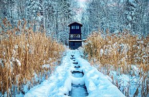 Řežabinec Observation Tower