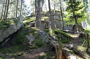 Nejstarší naučná stezka na Šumavě