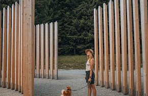 Baum der Seelen und Informationszentrum Idina Pila