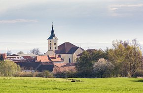 Kostel sv. Václava v Lišově