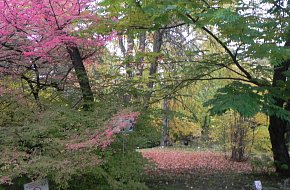 Botanická zahrada Tábor