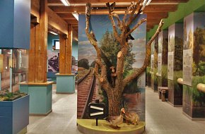 Muzeum Špejchar Ražice