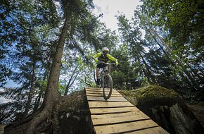 Cyklovýlet Nová Bystřice - bike park Hradiště