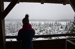 Vyhlídková věž Jezerní Slať u Kvildy