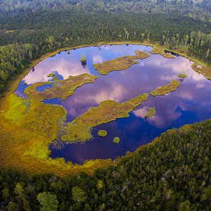 Poznáváte největší rašelinové jezírko v České…