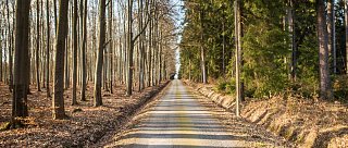 Poněšickou oborou k polštáři, jenž zpívá