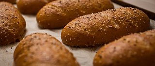 Od talíře k talíři Píseckem