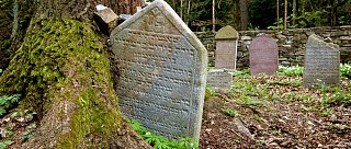 Radomyšl - památky a relaxace