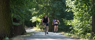 České Budějovice - Hluboká nad Vltavou