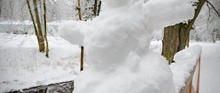 Terčino údolí u Nových Hradů je krásné i v zimě