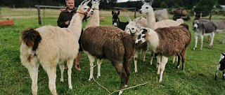 Lamatrekking na Shoně