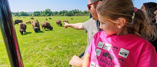 Dětský den na Safari