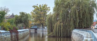 Z Tábora do Soběslavi