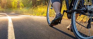 Jihočeské letní linky