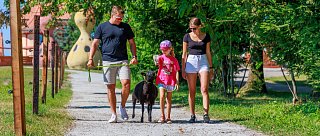 Den pěstounství Jihočeského kraje Safari Resort