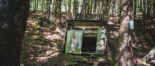 Dřevorubecká studánka – voda s chutí lesního klidu