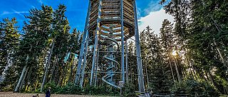 Svatba v korunách stromů